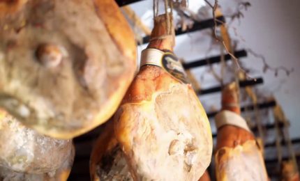 Agroalimentare, nuovi record per il commercio con l&rsquo;estero