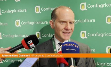 Ue, Giansanti "Serve sano pragmatismo"