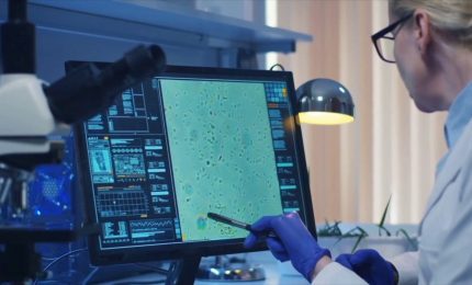 Il grasso non &egrave; sempre un nemico