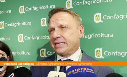 Green Deal, Lollobrigida "Superare visione estremista"