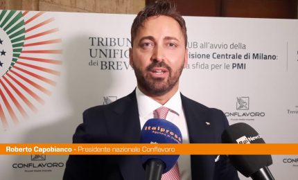 Capobianco "Tribunale unificato brevetti per tutela Made in Italy"