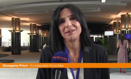 Ue, Princi "Investire sul capitale umano del Sud"