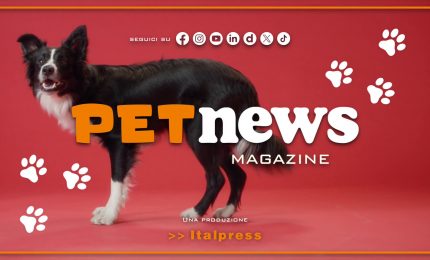 PetNews Magazine - 2/7/2024