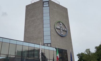 Froggy, da Bayer un supporto per i pazienti affetti da emofilia