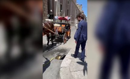 Caldo, a Palermo "docce" pubbliche per i cavalli