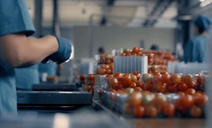 Agroalimentare, Pil in lieve crescita