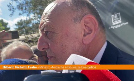 Energia, Pichetto "In un mix efficace serve anche il nucleare"