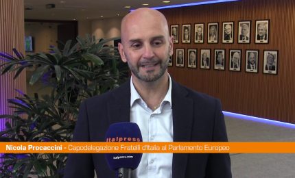 Ue, Procaccini "Serve approccio pi&ugrave; ragionevole sul Green Deal"