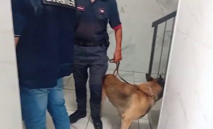 Blitz anticamorra a Napoli, 22 custodie cautelari