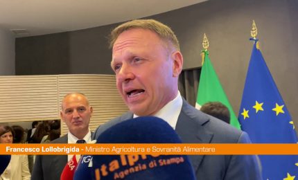 Lollobrigida "Destinate a giovani agricoltori terre sottratte a mafie"