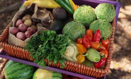 I prodotti di qualit&agrave; garanzia di salute a tavola