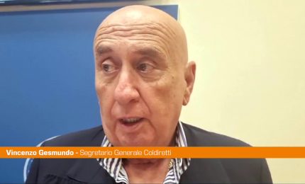 Gesmundo "Rischi enormi da cibi errati, nel mondo 27 mln morti l'anno"