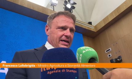 Granchio blu,Lollobrigida "Commissario Caterino servitore dello Stato"