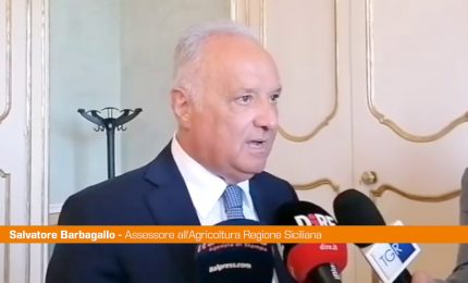 Sicilia,assessore Barbagallo "Contro siccit&agrave; puntare a infrastrutture"