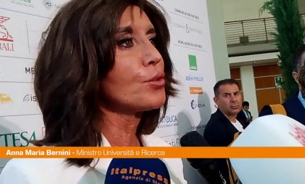 Ius Scholae, Bernini "Non sar&agrave; argomento di separazione con alleati"