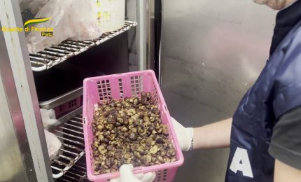 Distrutti a Prato 800 kg di alimenti non sicuri, sospese tre attivit&agrave;