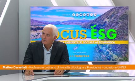 Cervellati "Piattaforma Amelia ecosistema digitale a servizio Paese&rdquo;