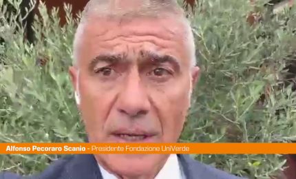 Pecoraro "Tutelare operatori sanitari e dare pi&ugrave; risorse al settore"