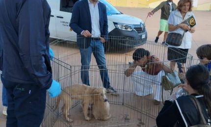 Palermo, Ferrandelli &ldquo;Sold out di microchip oggi al centro Conca d&rsquo;Oro&rdquo;
