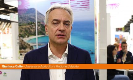 Agroalimentare, Gallo "L'export calabrese &egrave; in crescita"