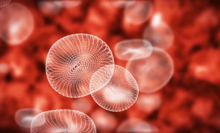 Scoperte proteine &ldquo;complici&rdquo; della leucemia