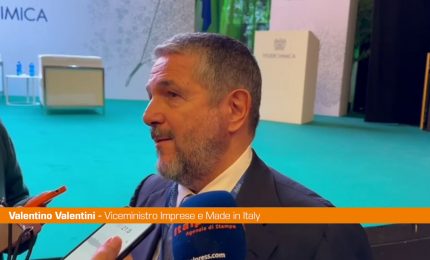 Auto, Valentini "Chiusura fabbriche dimostra difficolt&agrave; transizione"