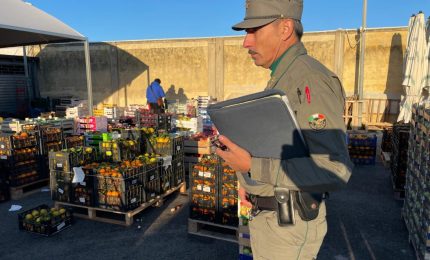 Sequestri al mercato di Siracusa, Schifani &ldquo;Tuteliamo il made in Sicily&rdquo;