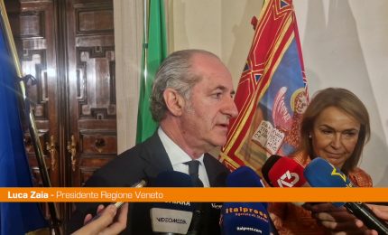 Zaia "Nucleare? Ci sono altri siti, Venezia &egrave; fragile"