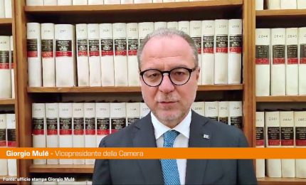 Sanit&agrave;, Mul&egrave; "Costituire un comitato che indaghi sul microbioma"