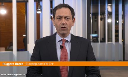 Razza "Fitto &egrave; la giusta risposta alla forza del Governo italiano"