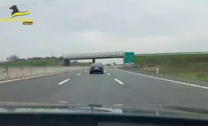 Falso Made in Italy, Gdf Torino sequestra 263 tonnellate sementi