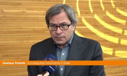 Ue, Pedull&agrave; "Premio Sacharov andava assegnato a giornalisti Gaza"