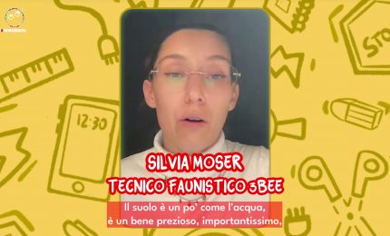 Tik Tok, minorenni senza filtri