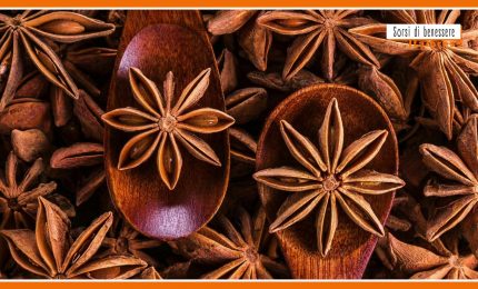 Sorsi di benessere - Festivit&agrave; alle porte? Ecco la tisana ideale