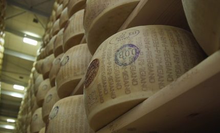 Parmigiano Reggiano, partita la "battitura" per il controllo qualit&agrave;