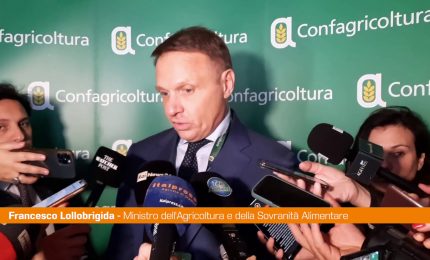 Mercosur, Lollobrigida "Possibili vantaggi senza sacrificare settori"