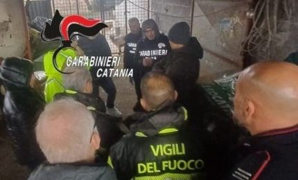 Liquami e carcasse di animali, sospesa l&rsquo;attivit&agrave; di un allevamento nel Catanese