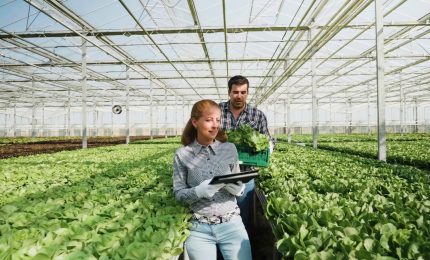 Agricoltura, Italia prima in Europa per valore aggiunto