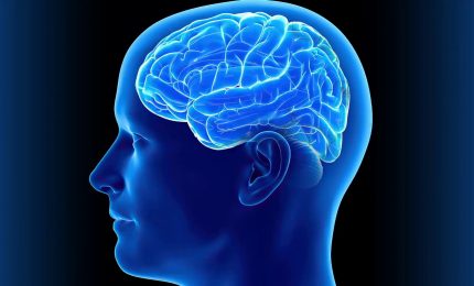 Ricerca, nuovi approcci per studiare il neurosviluppo