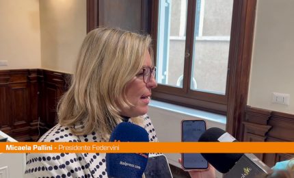 Dazi, Pallini "Ue lavori a relazioni commerciali pi&ugrave; sane con gli Usa"