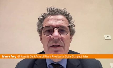 Sostenibilit&agrave;, le imprese determinate a proseguire nelle loro scelte