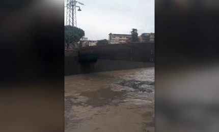 Bomba d'acqua su Firenze, le immagini