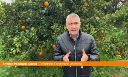 Pecoraro Scanio &rdquo;Formare giovani Ecodigital, sfida parte da Sicilia"