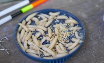 Neuroscienze, nuovi studi sull&rsquo;intenzionalit&agrave;