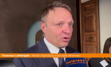 Agricoltura, Lollobrigida "Asset strategico e irrinunciabile"