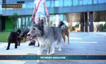 PetNews Magazine - 18/2/2025