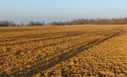 Tribunale Roma annulla ingiunzione di pagamento Agea da 935 mila euro