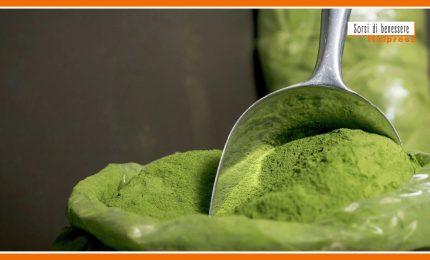Sorsi di benessere - Tisana alla moringa, elisir di salute ed energia