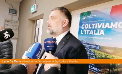 De Carlo "Tanti giovani investono nell'agricoltura"