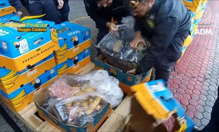 Sequestrati 27 chili di cocaina al porto di Gioia Tauro